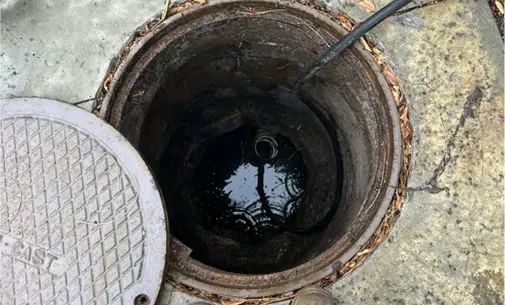 Septic System Treatment